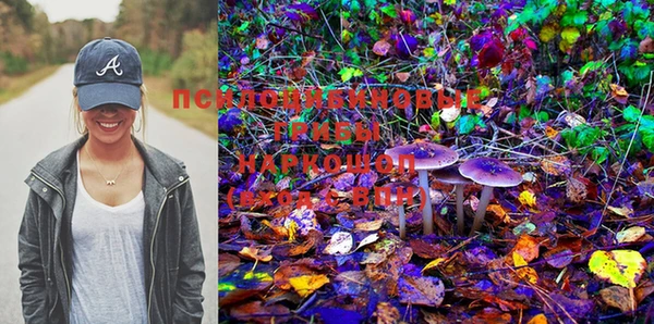 PSILOCYBIN Арсеньев