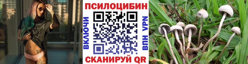 купить наркоту  мега ссылка  Галлюциногенные грибы прущие грибы  Урус-Мартан 